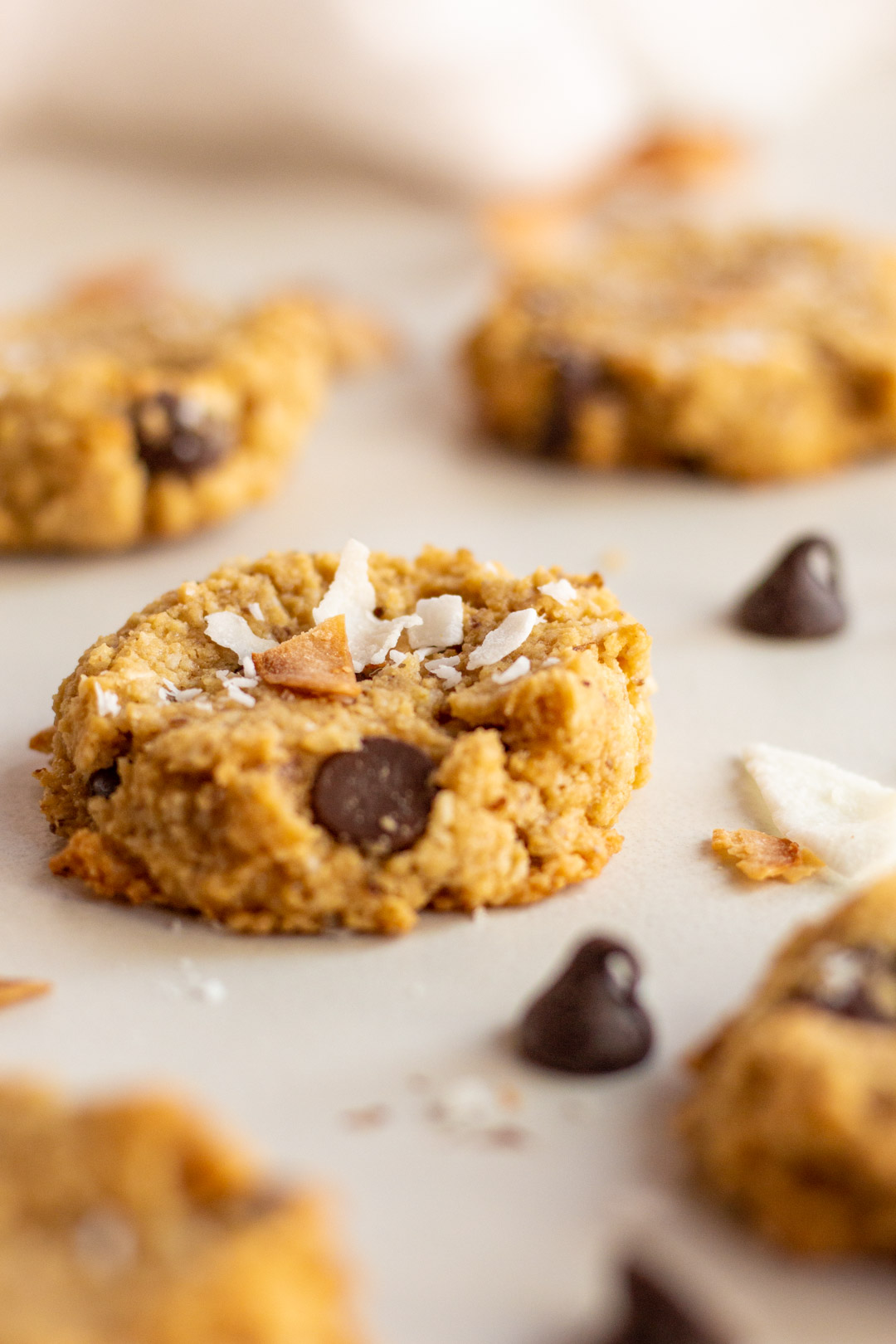 Almond Coconut Chocolate Chip Cookies