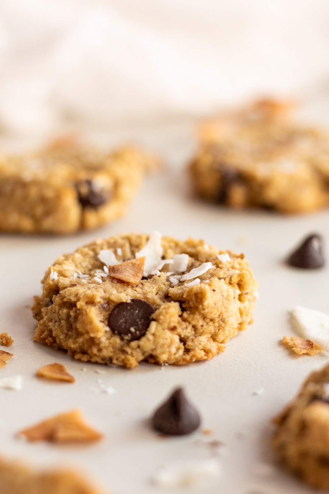 Almond Coconut Chocolate Chip Cookies